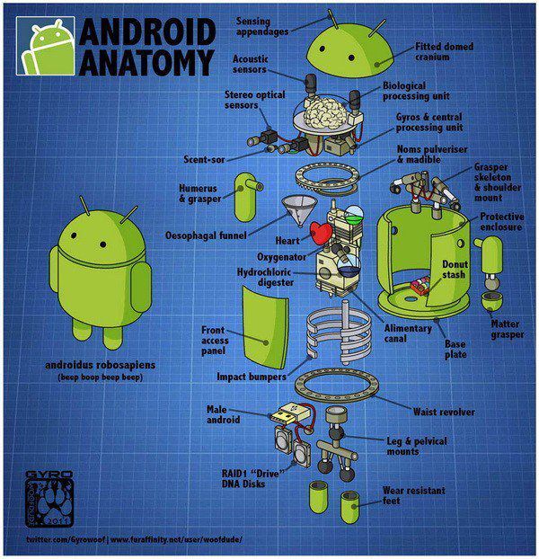 Anatomy of an Android